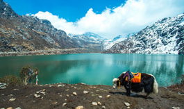 Sikkim Darjeeling